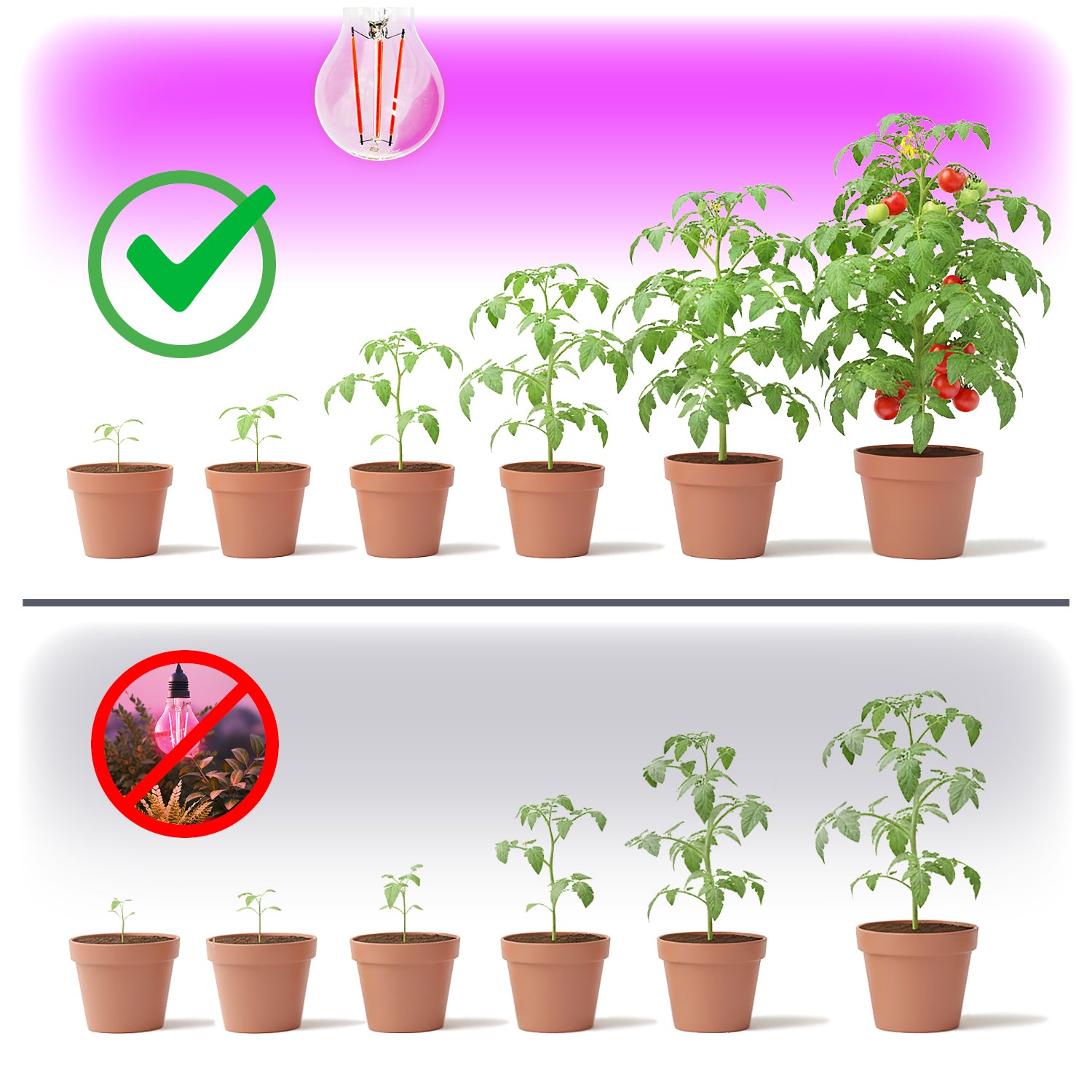 LED grow bulb LED PLANTY FGS 8W E27 1200K Kobi Design