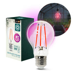 LED grow bulb LED PLANTY FGS 8W E27 1200K Kobi Design