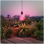 LED grow bulb LED PLANTY FGS 8W E27 1200K Kobi Design