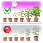LED grow bulb LED PLANTY GS E27 11W E27 1200K Kobi Design