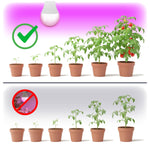 LED grow bulb LED PLANTY GS E27 11W E27 1200K Kobi Design