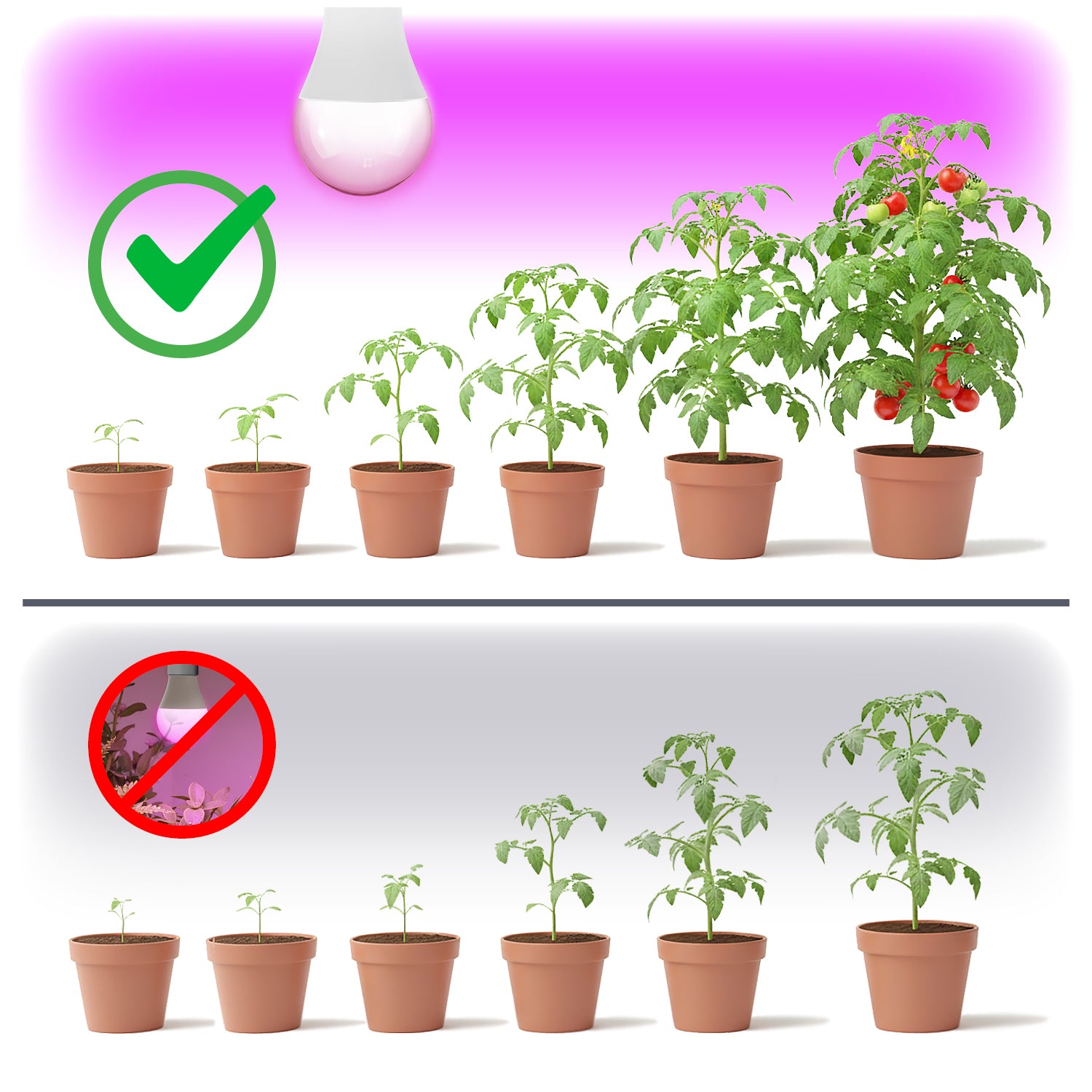 LED grow bulb LED PLANTY GS E27 11W E27 1200K Kobi Design