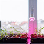 LED grow bulb LED PLANTY GS E27 11W E27 1200K Kobi Design