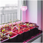 LED grow bulb LED PLANTY GS E27 11W E27 1200K Kobi Design