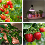 LED grow bulb LED PLANTY B E27 7W E27 1200K White Kobi Design