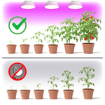 LED grow bulb LED PLANTY B E27 7W E27 1200K White Kobi Design