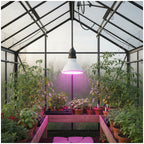 LED grow bulb LED PLANTY B E27 7W E27 1200K White Kobi Design