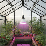 LED grow bulb LED PLANTY B E27 7W E27 1200K White Kobi Design