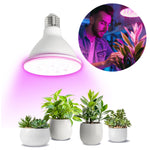 LED grow bulb LED PLANTY W E27 9W E27 1200K White Kobi Design