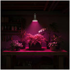 LED grow bulb LED PLANTY W E27 9W E27 1200K White Kobi Design