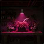 LED grow bulb LED PLANTY W E27 9W E27 1200K White Kobi Design