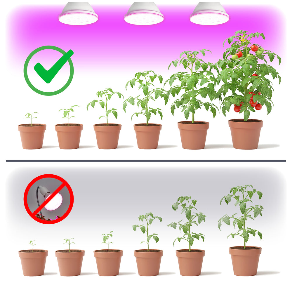 LED grow bulb LED PLANTY W E27 9W E27 1200K White Kobi Design