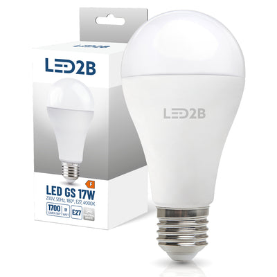 LED bulb GS 17W E27 4000K LED2B
