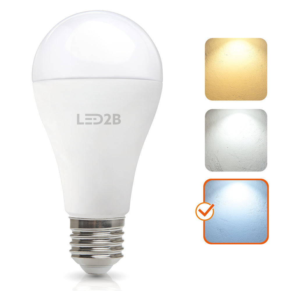 LED bulb GS 17W E27 6500K LED2B