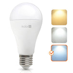 LED bulb GS 22W E27 6500K Kobi