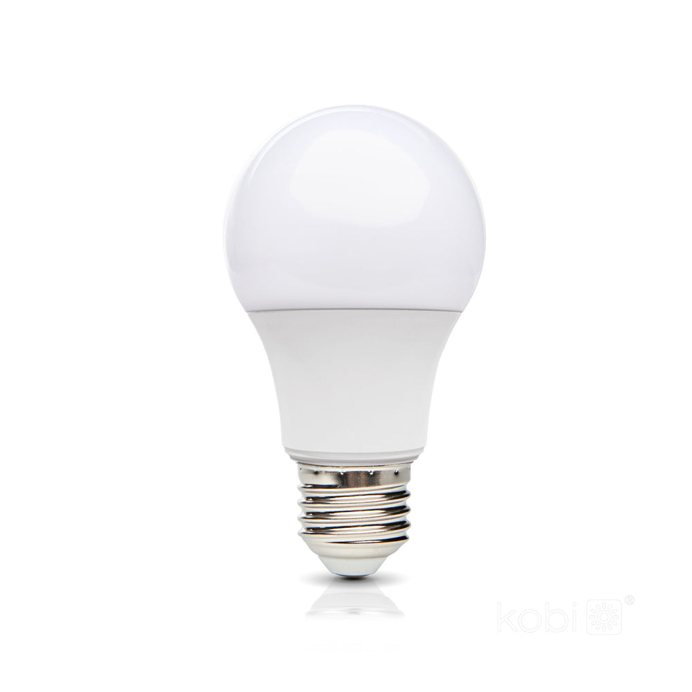 LED bulb GS 7W E27 6000K LED2B
