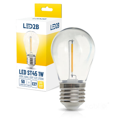 LED bulb ST45 1W E27 2700K LED2B